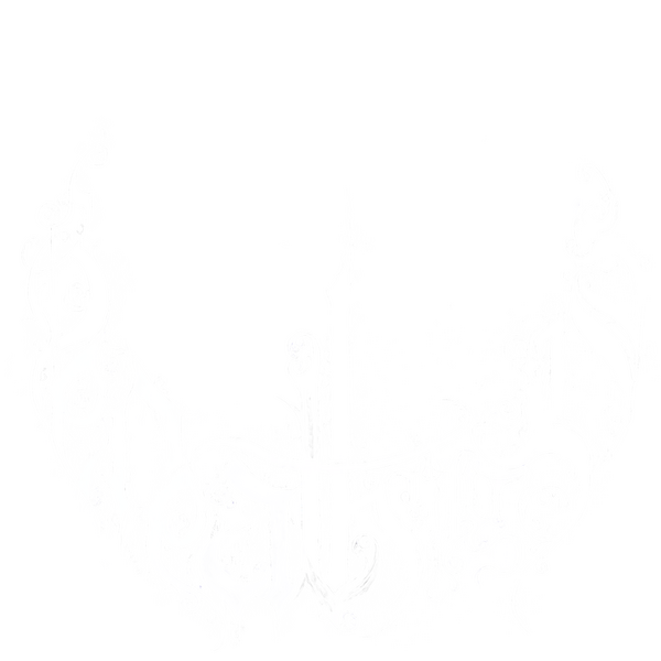 Streaming Plateform